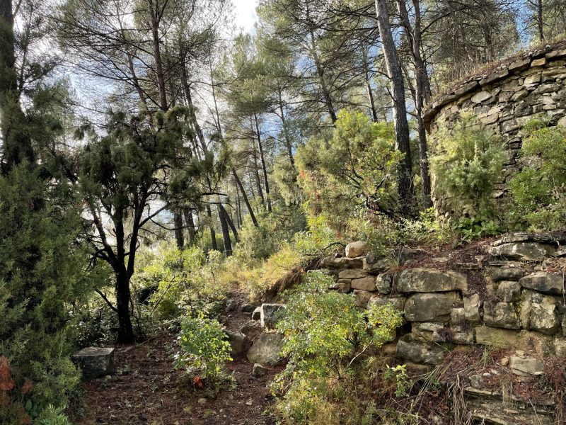 Barraques, psicologia conscient entorn natural